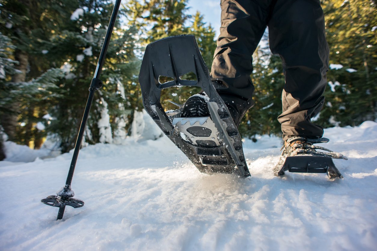 travel in snow shoes