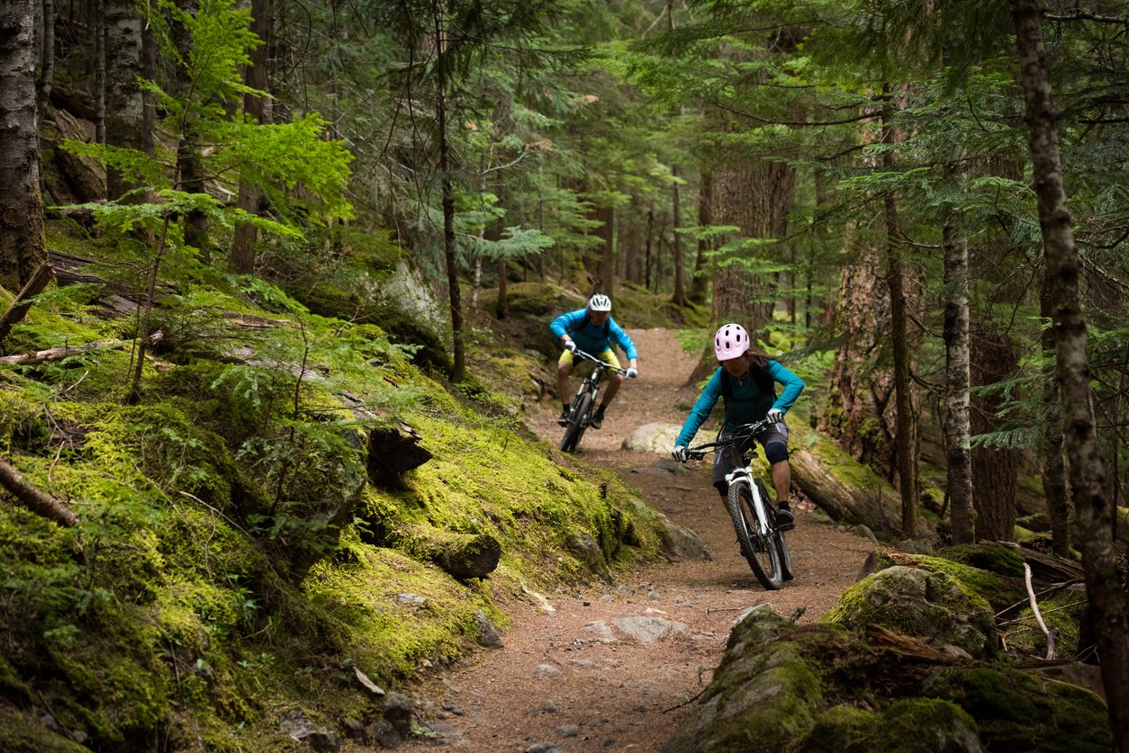 Two mountain bikers riding through the forest, with trees to the left and right, and a trail winding through them. 