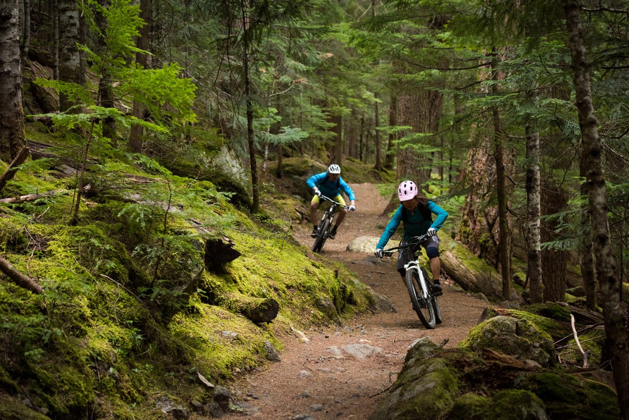 Two mountain bikers riding through the forest, with trees to the left and right, and a trail winding through them.