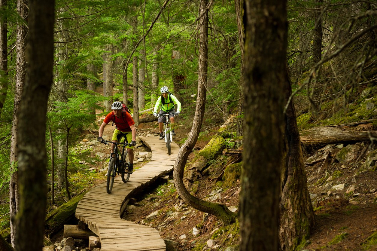 Two mountain bikers riding along a winding boardwalk, which weaves through the trees.