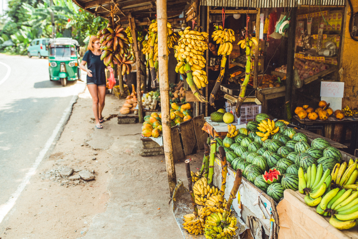 Declines in tourism in Sri Lanka have impacted, directly or indirectly, millions.