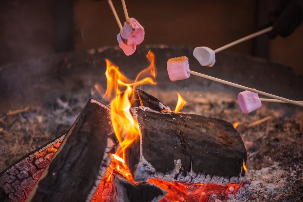 Marshmallows on sticks being toasted on a campfire.
