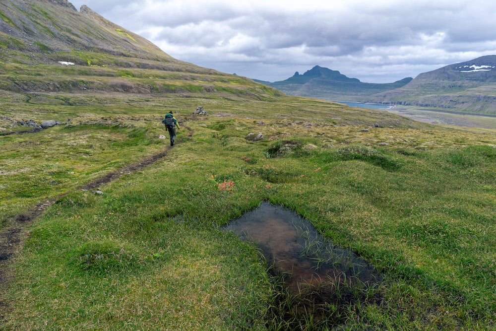 The best hikes in Iceland: Hornstrandir Trail