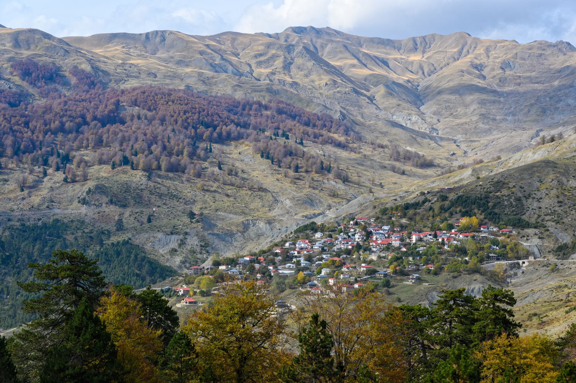 Gramos mountain Greece Callisto bears