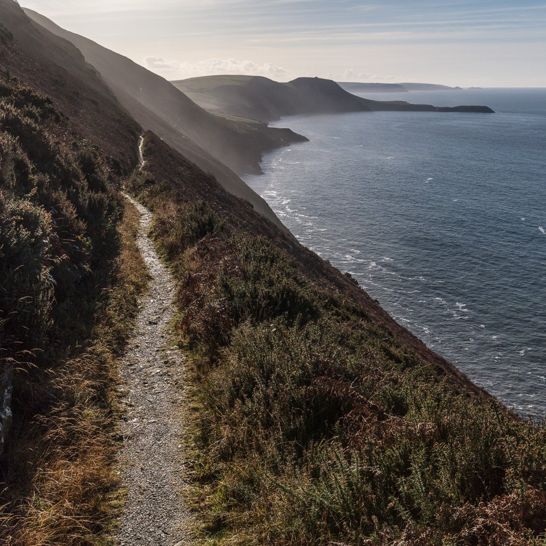 The Ceredigion Coast Path, running alongside the coastline.