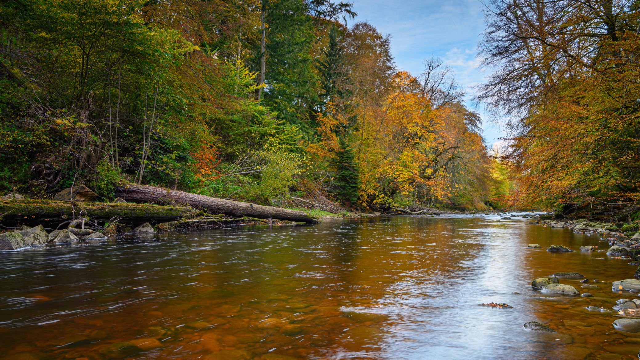 Allen Banks and Staward Gorge in the English county of Northumberland.