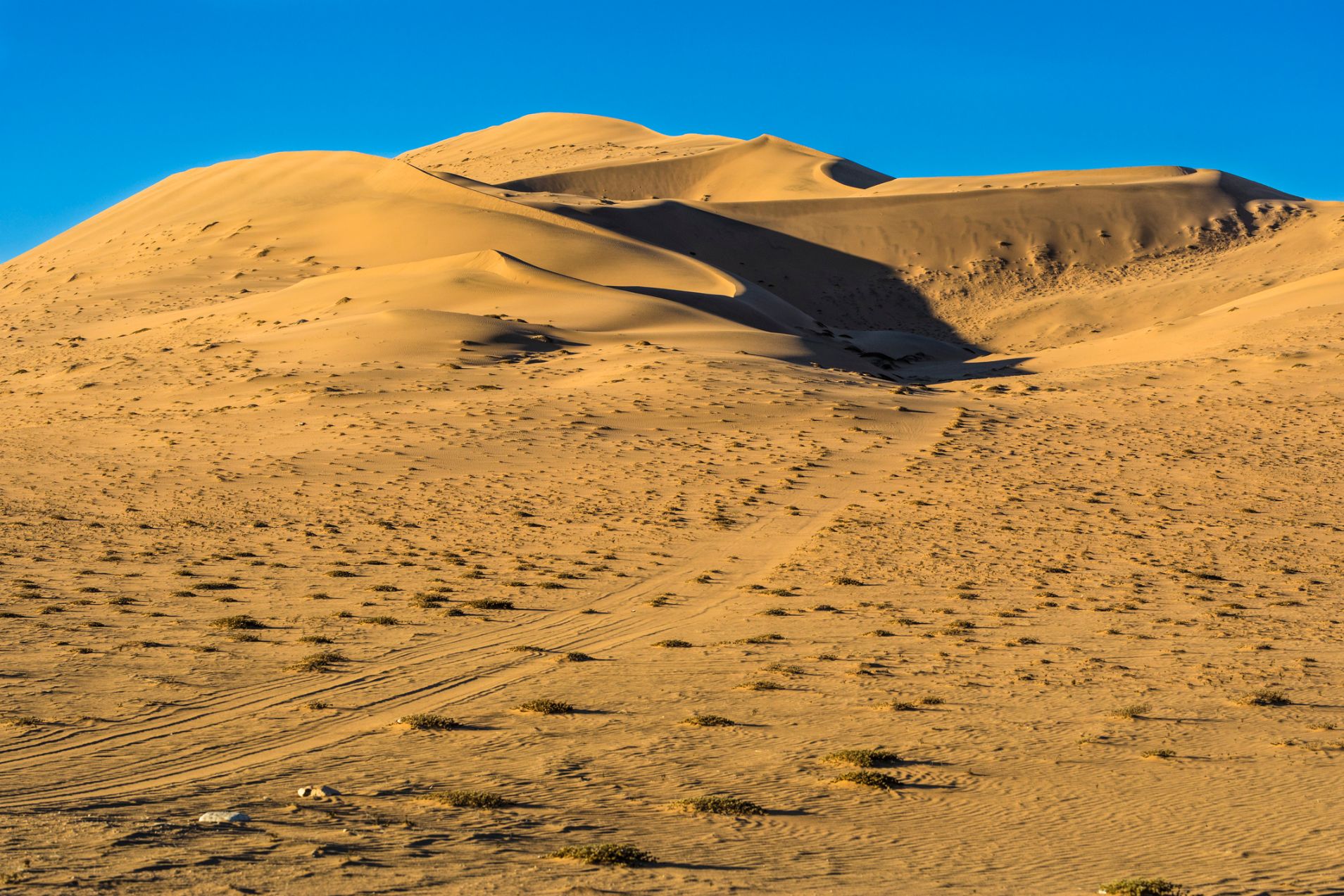 The Medanoso dune in Copiapo, in the Atacama Desert