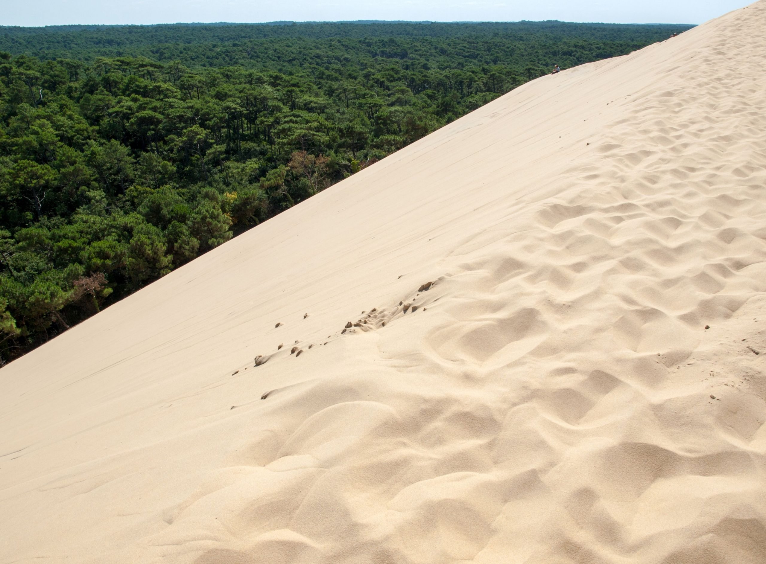 The view of the Great Dune of Pyla in southern France