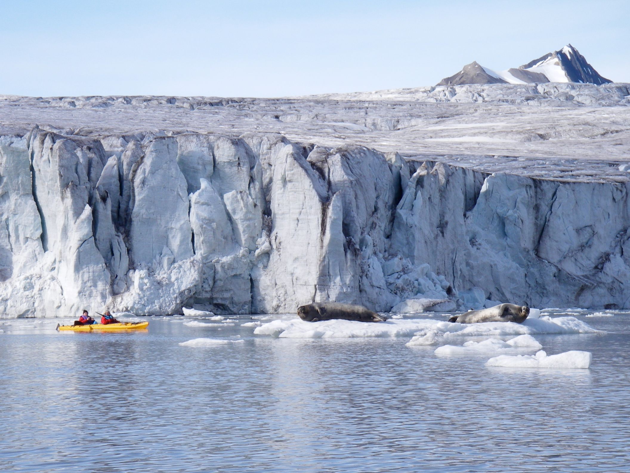 Two people in a kayak looking at seals on an iceberg in Svalbard