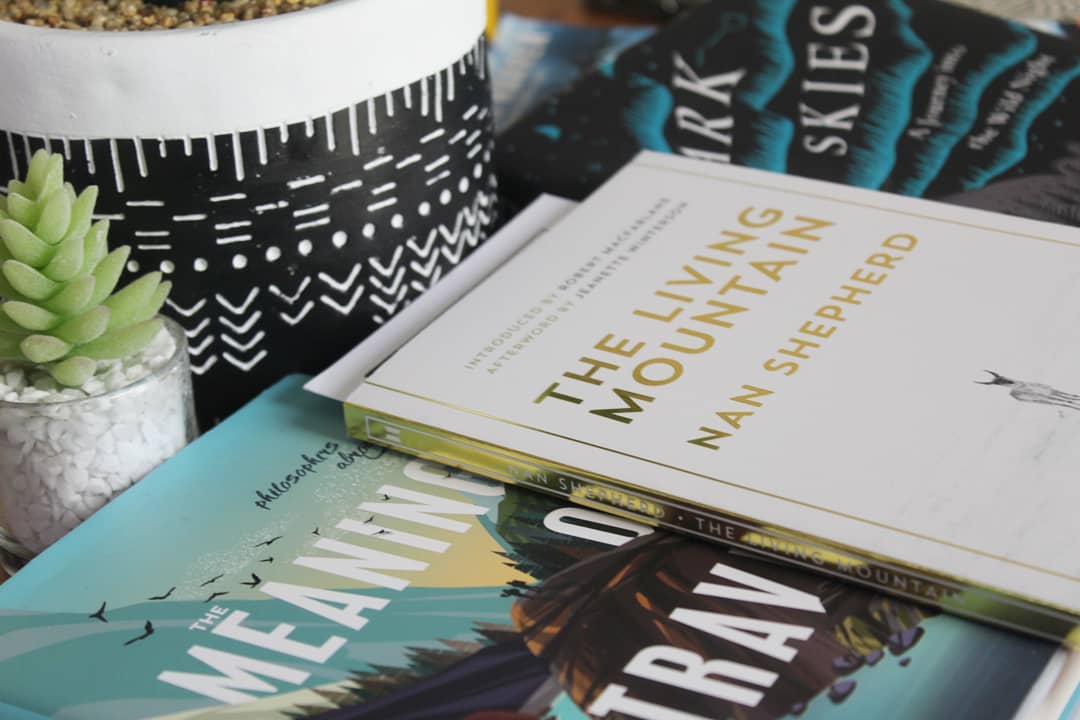 A portrait of travel books, including Nan Shepherd's The Living Mountain