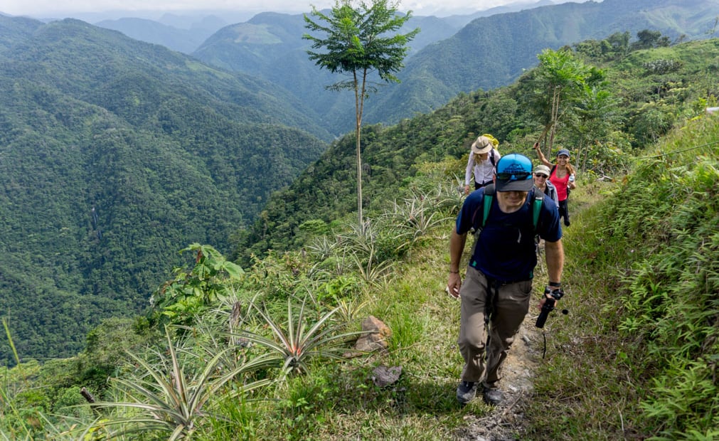 A group of trekkers in Colombia's rainforest.