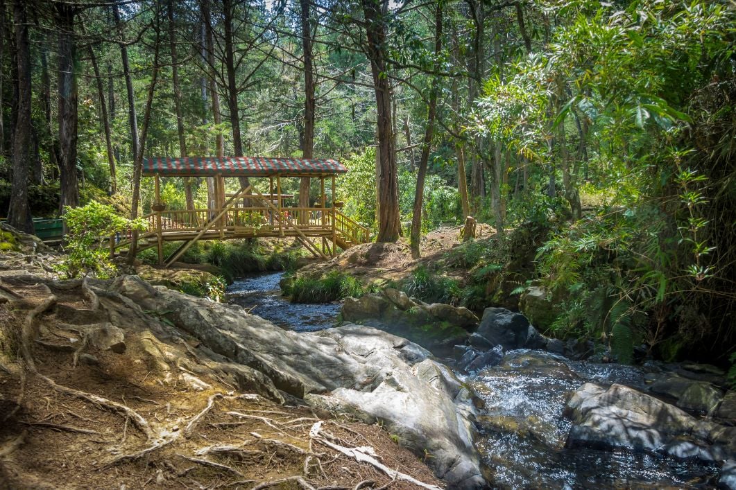 A bridge passing through the Parque Arvi, a great place to hike in Medellin