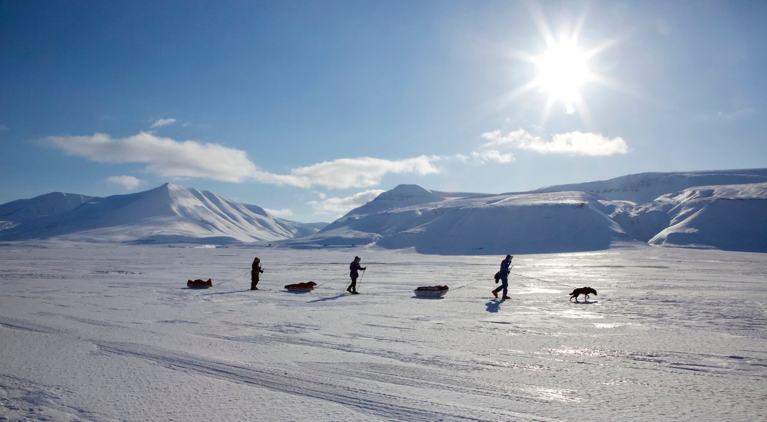 Adventurers exploring the polar climate of Svalbard, dragging pulks