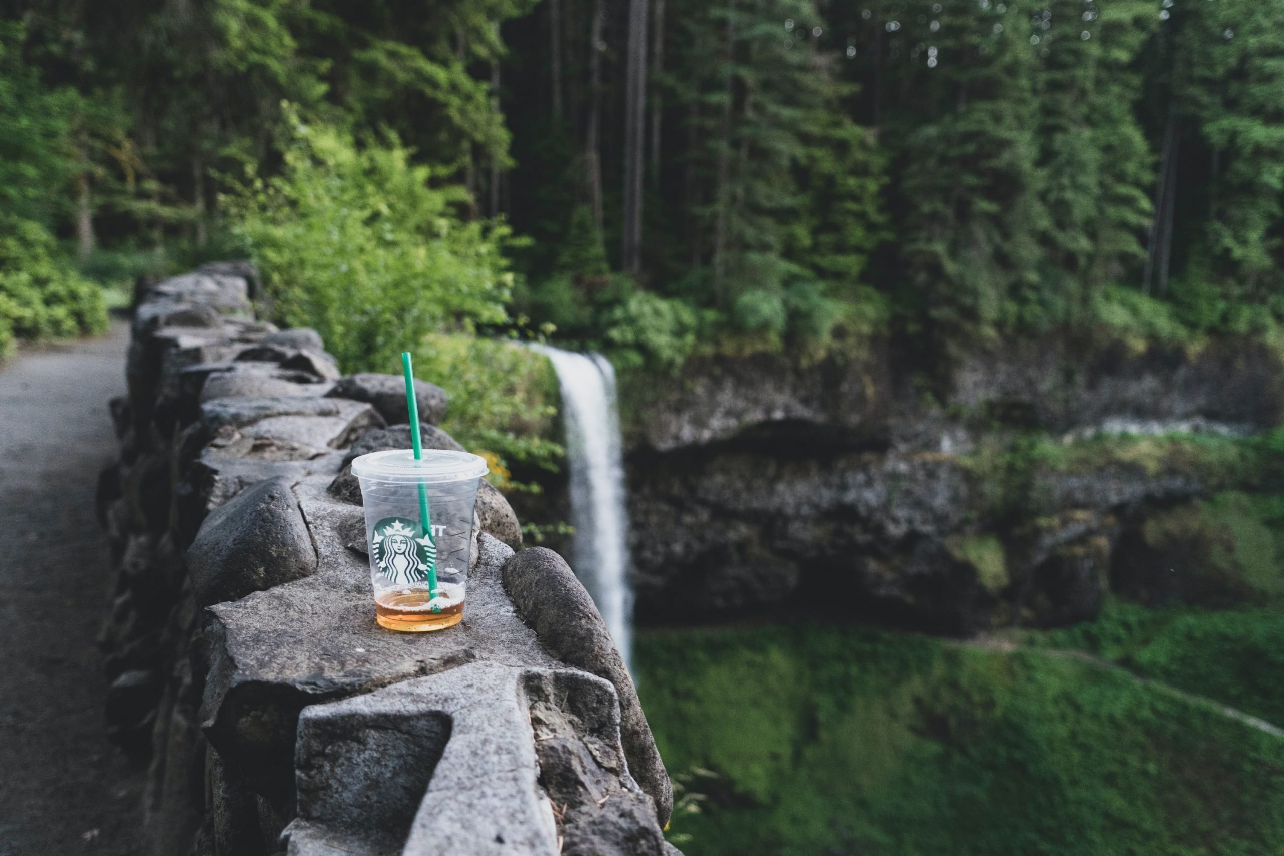 starbucks mug travel