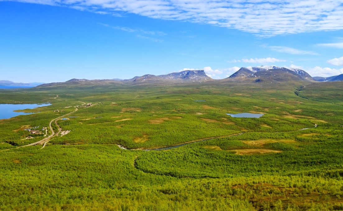 Verdant Abisko National Park in Sweden