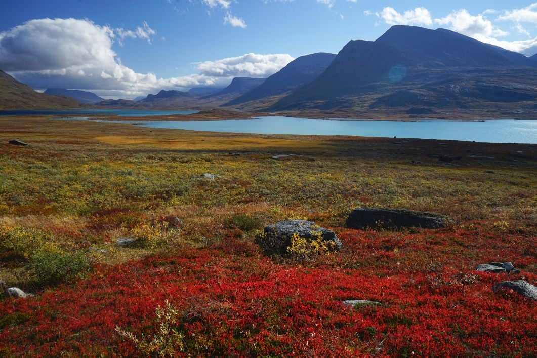 A wildflower meadow, lakes and hills in Sweden.