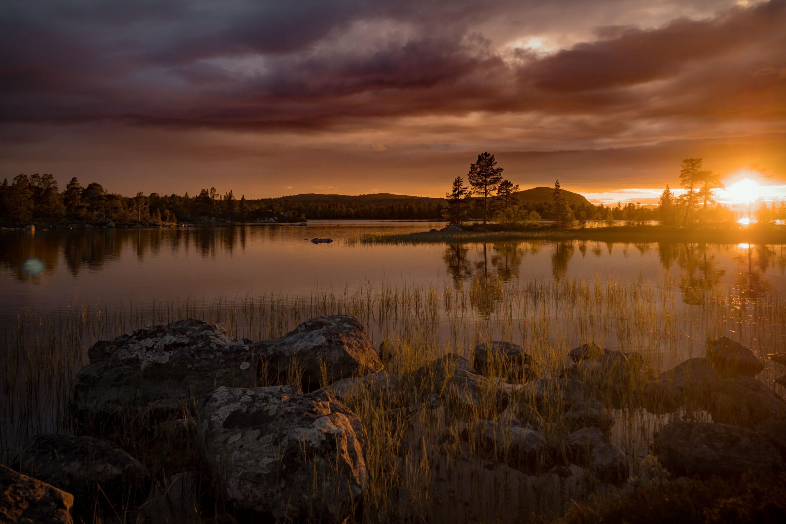 Härjedalen, in the centre of Sweden