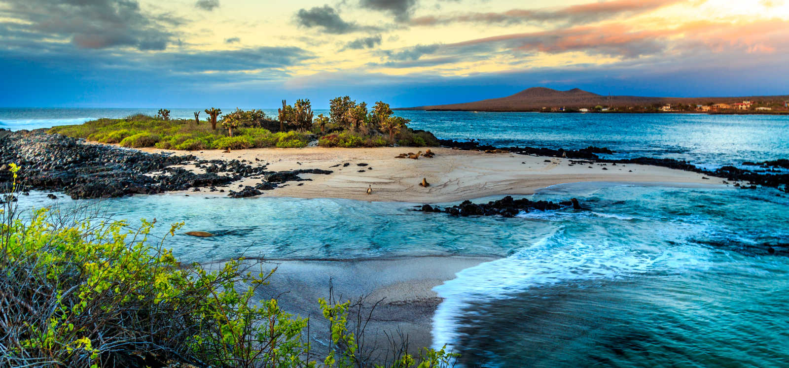 The stunning Galapagos Islands.
