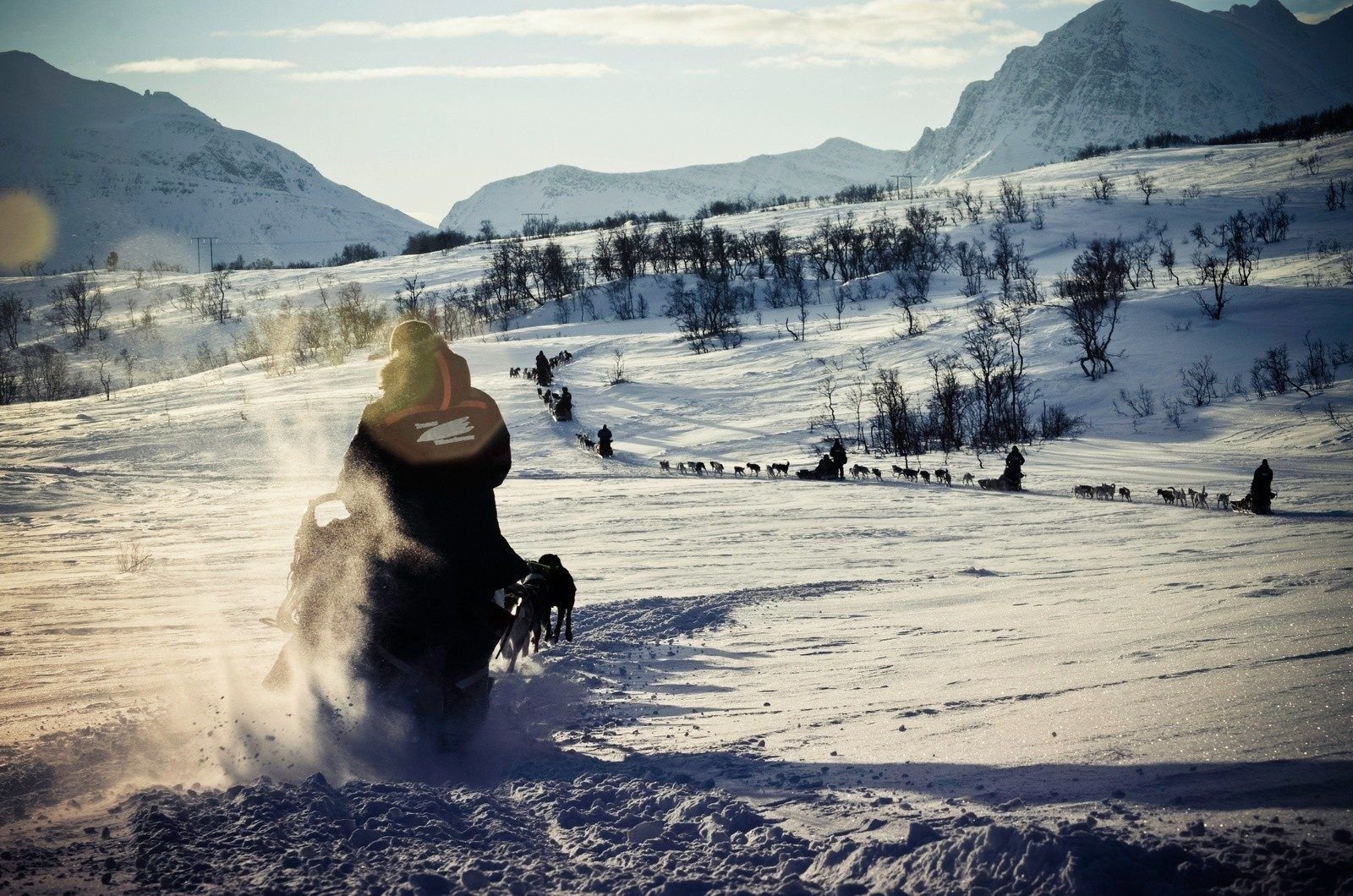 A team of group of mushers with their sleds and husky dogs, making their way across the Finmark Plateau