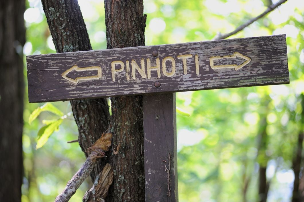A signpost for the Pinhoti Trail, part of the Eastern Continental Trail