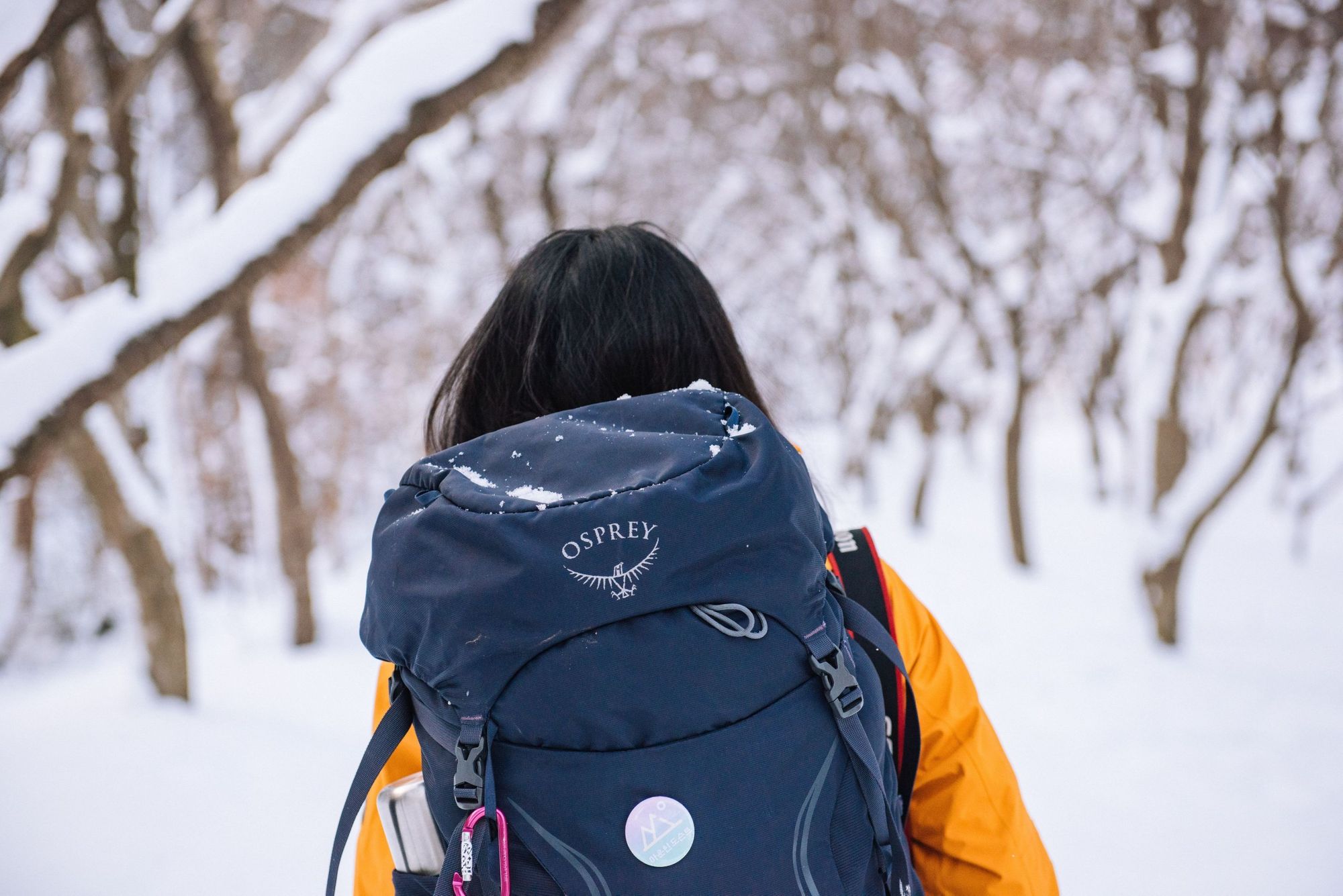 The Best Waterproof Backpack for Hiking