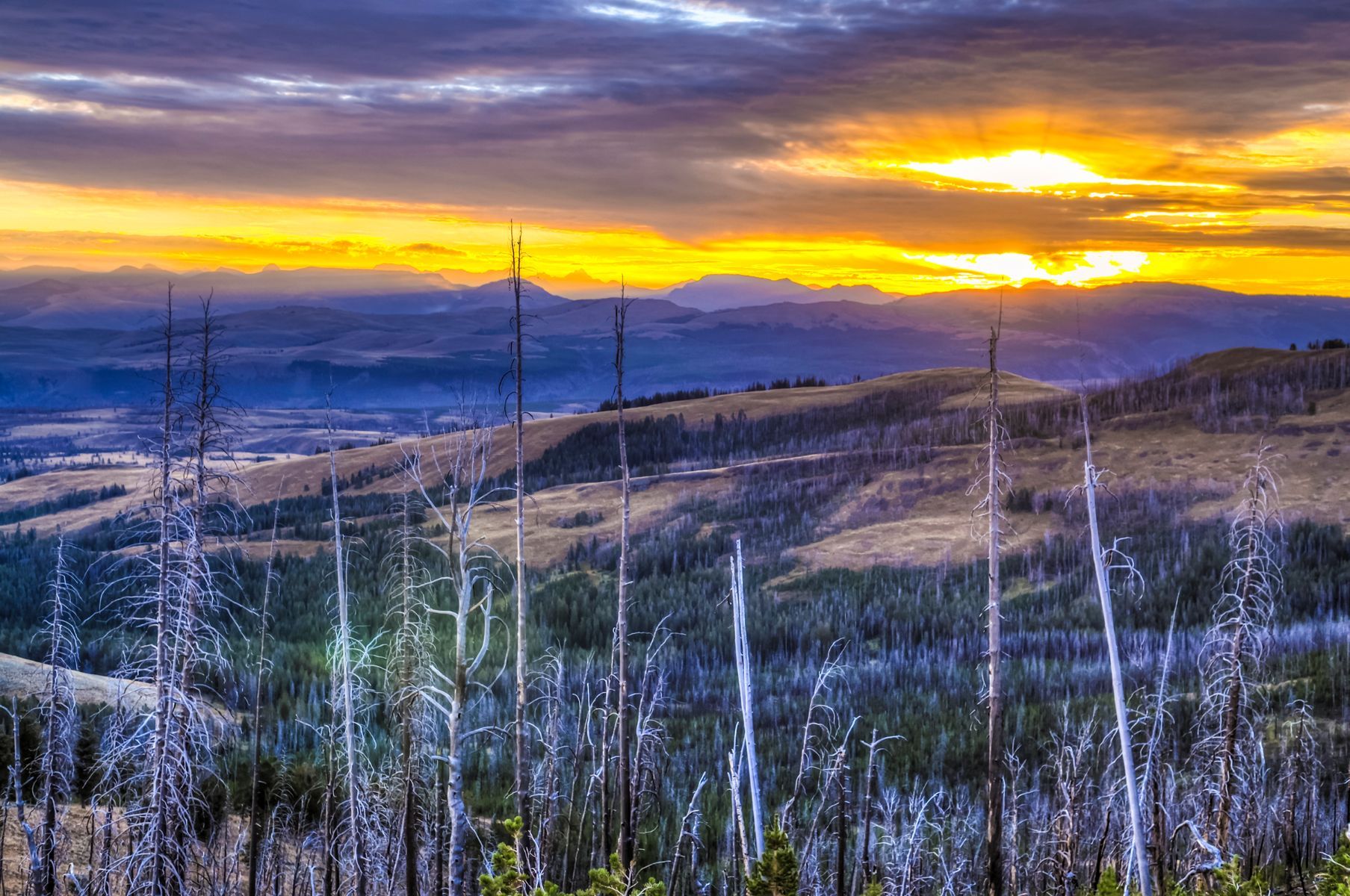 The Mount Washburn trek is one of most popular, and one of the the best trails in Yellowstone, for these kinds of views.