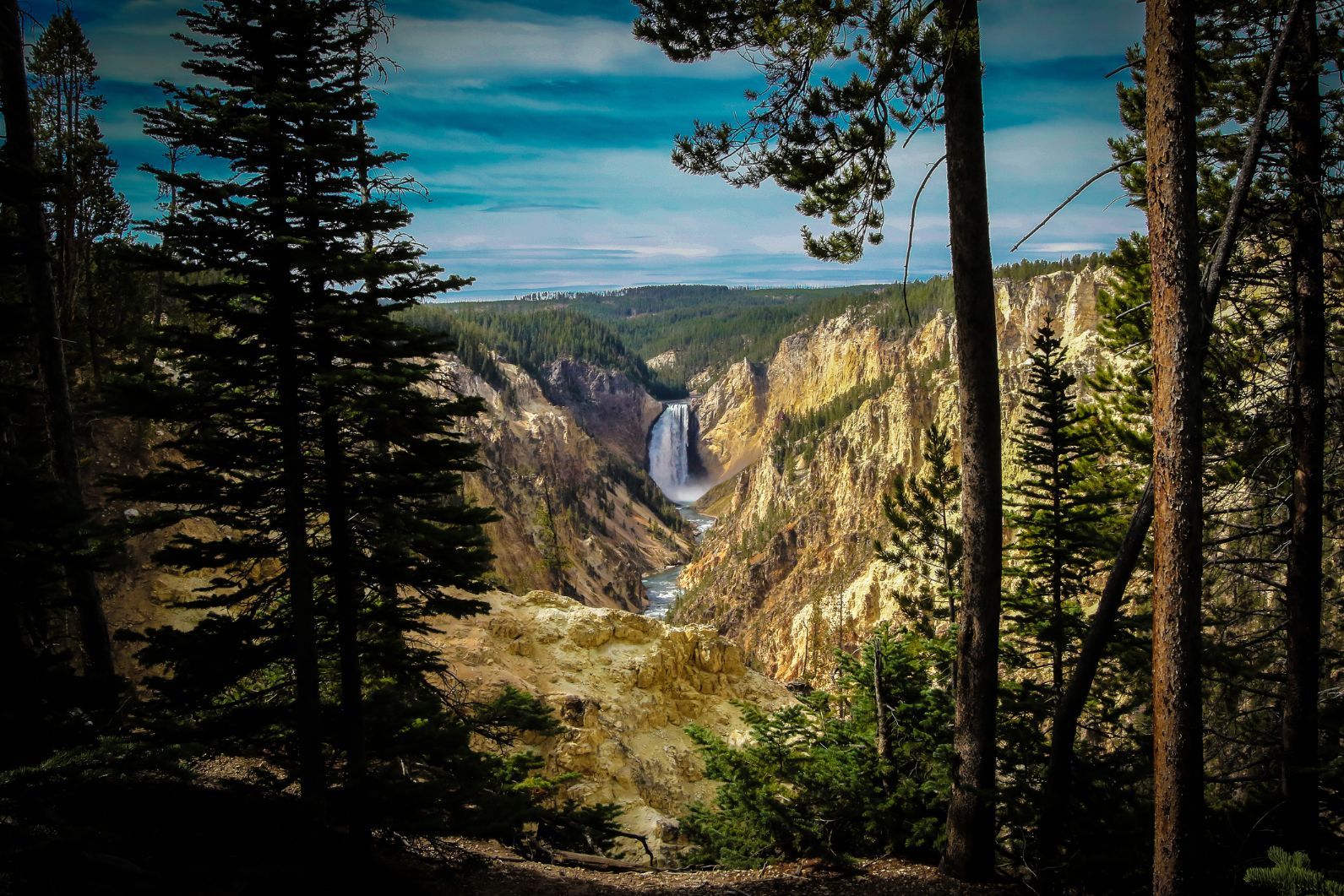 The Grand Canyon of Yellowstone