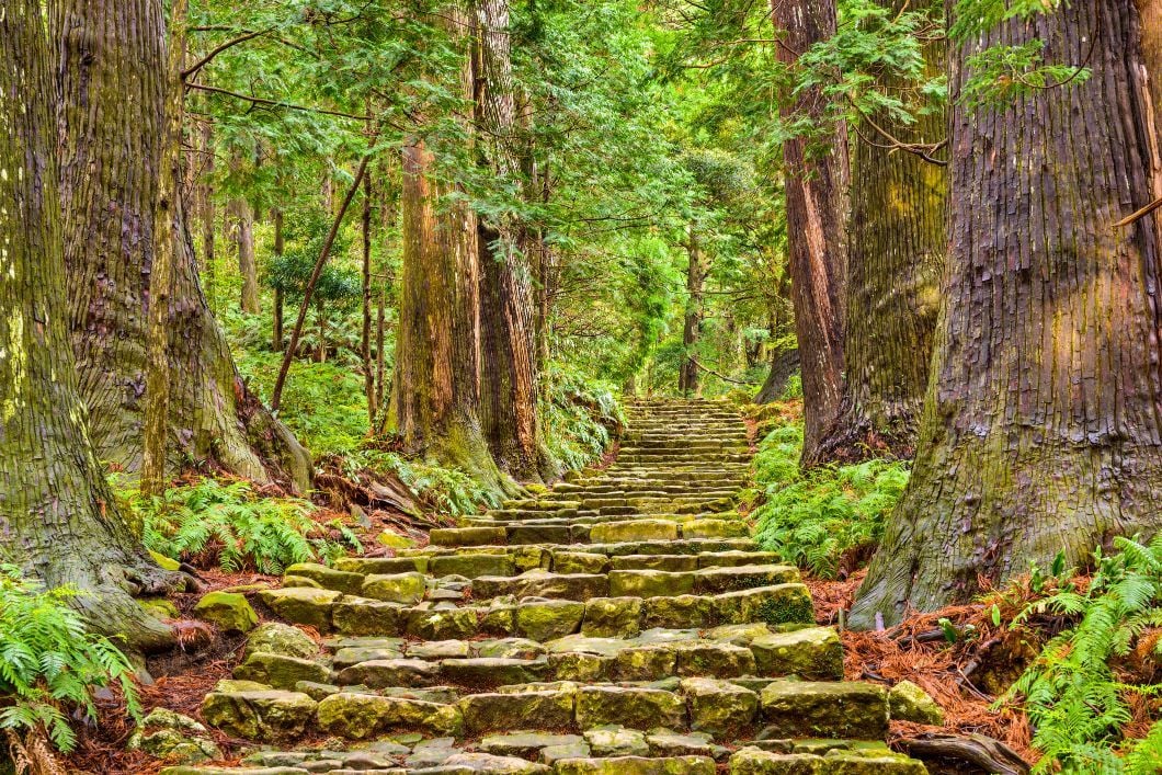 The lush forests of the Kumano Kodō have hosted Emperors and Samurai.