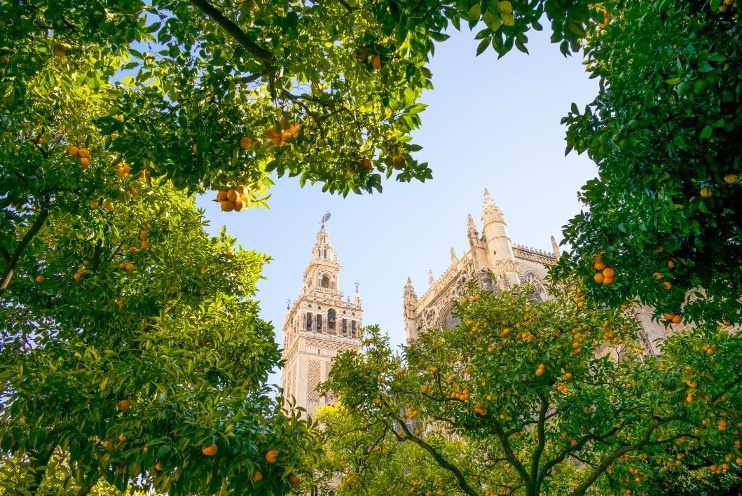 The Cathedral bell tower in Seville seen from the garden courtyard