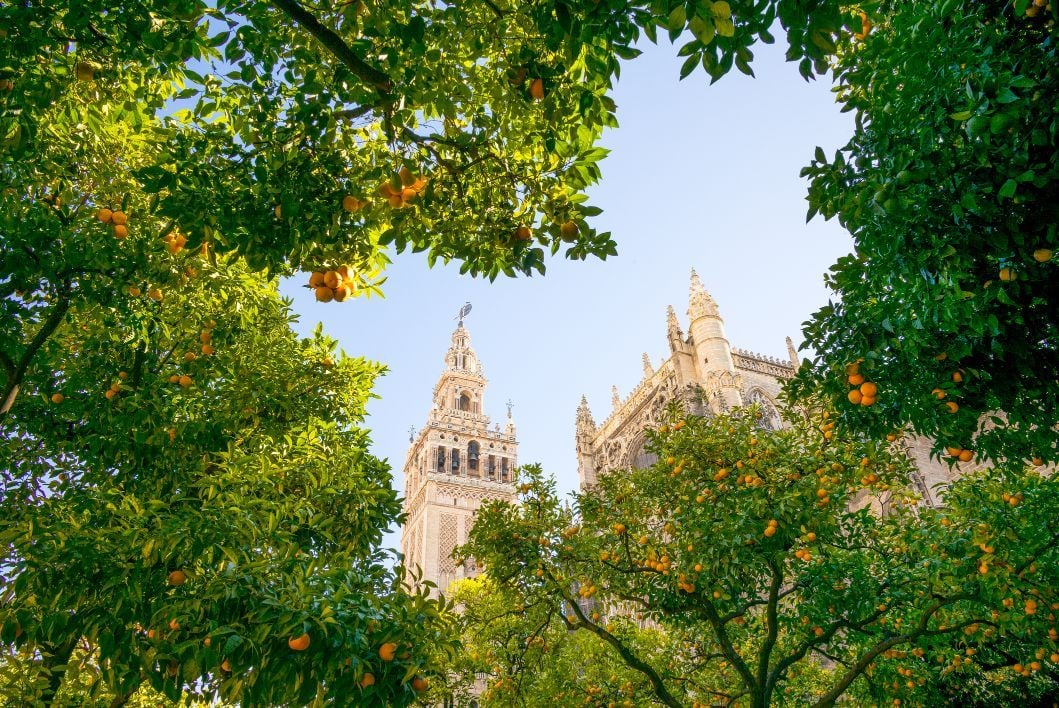 The Cathedral bell tower in Seville seen from the garden courtyard.