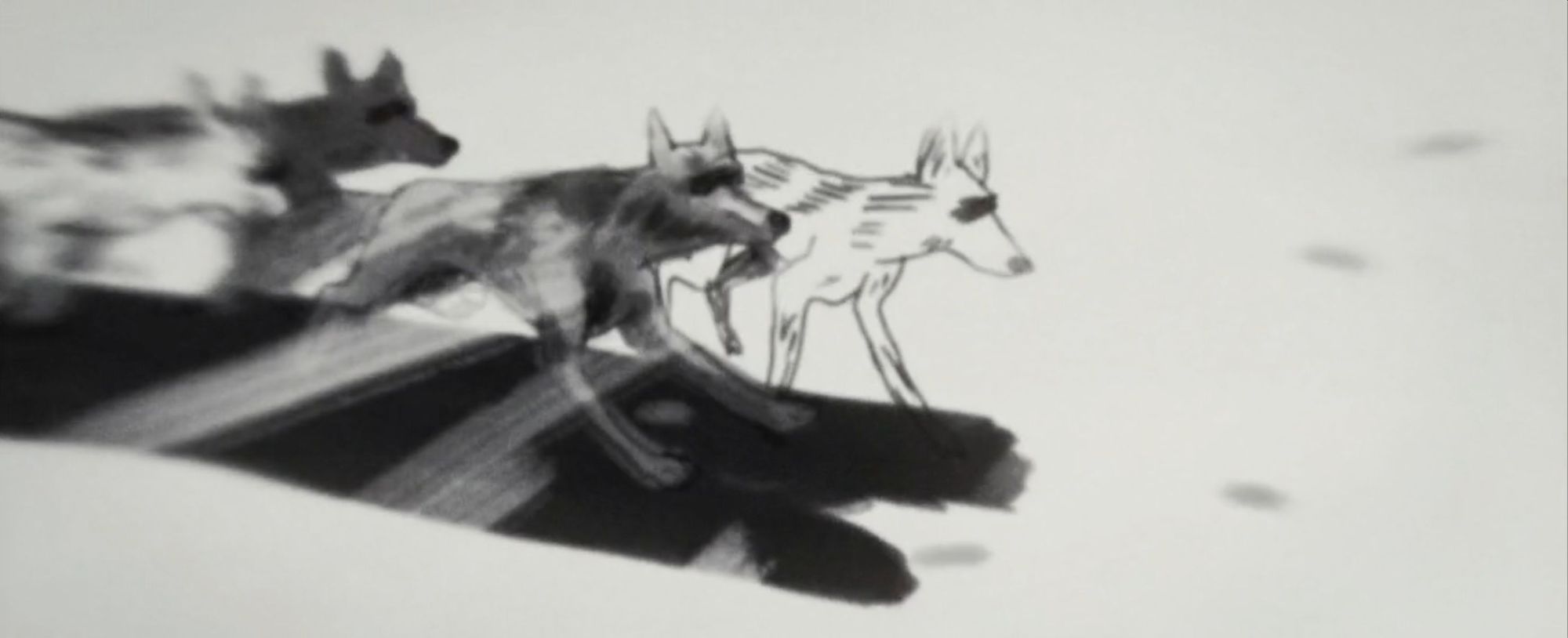 An animated image of dogs pulling Peter Freuchen's sledge, by Drew Christie.