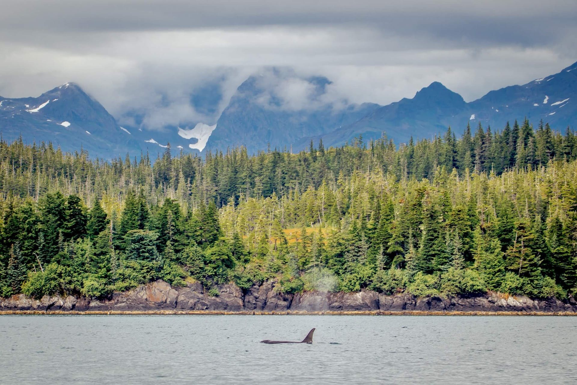 Alaskan Wilderness Expedition