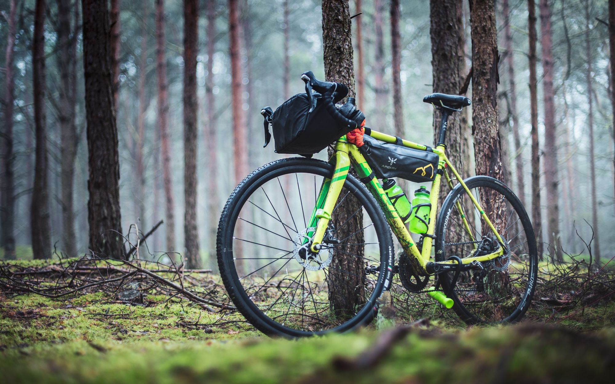 A bike with bikepacking gear on, in a forest.