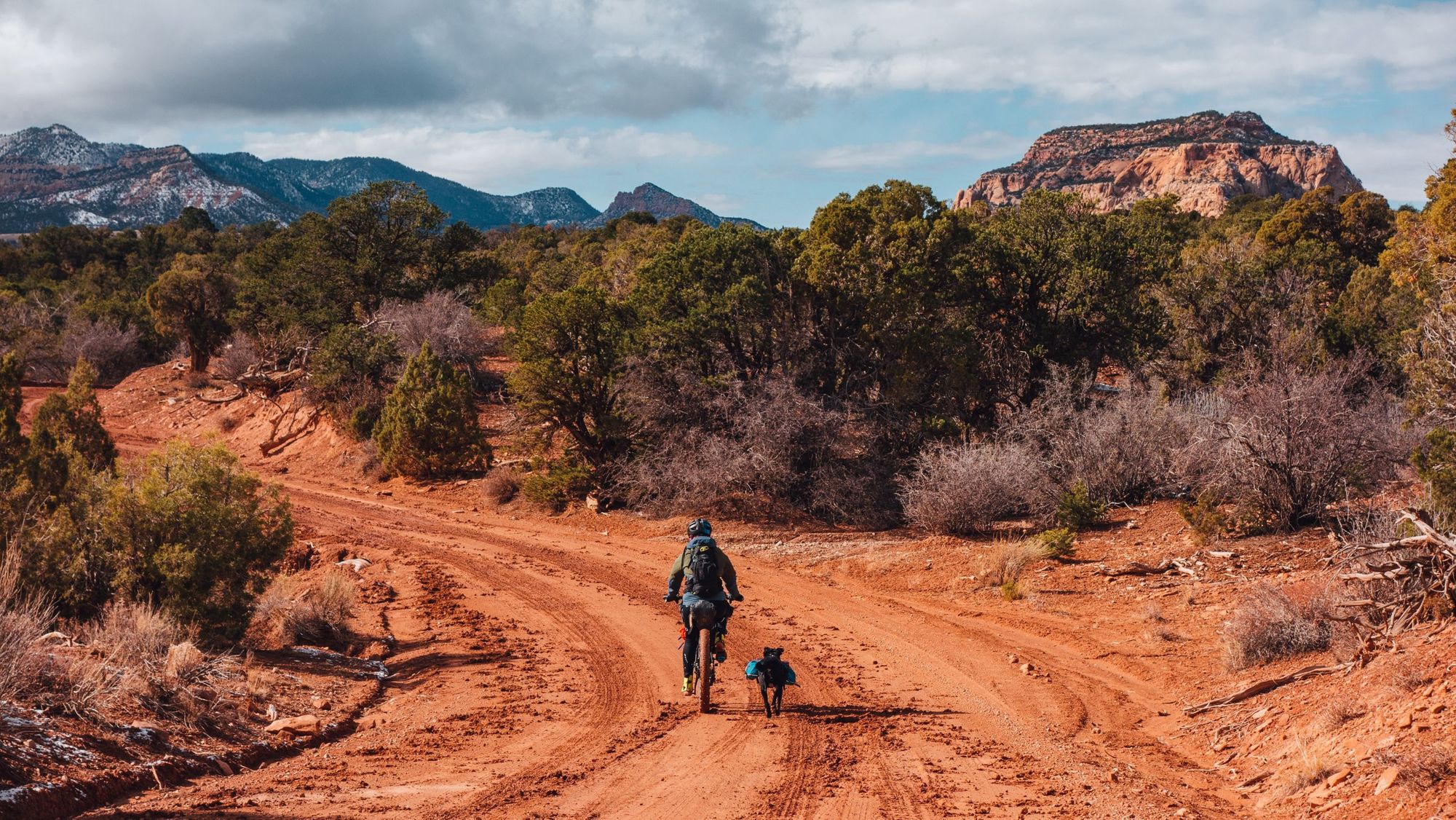 A cyclist going down a dirt track, with a dog by his side.