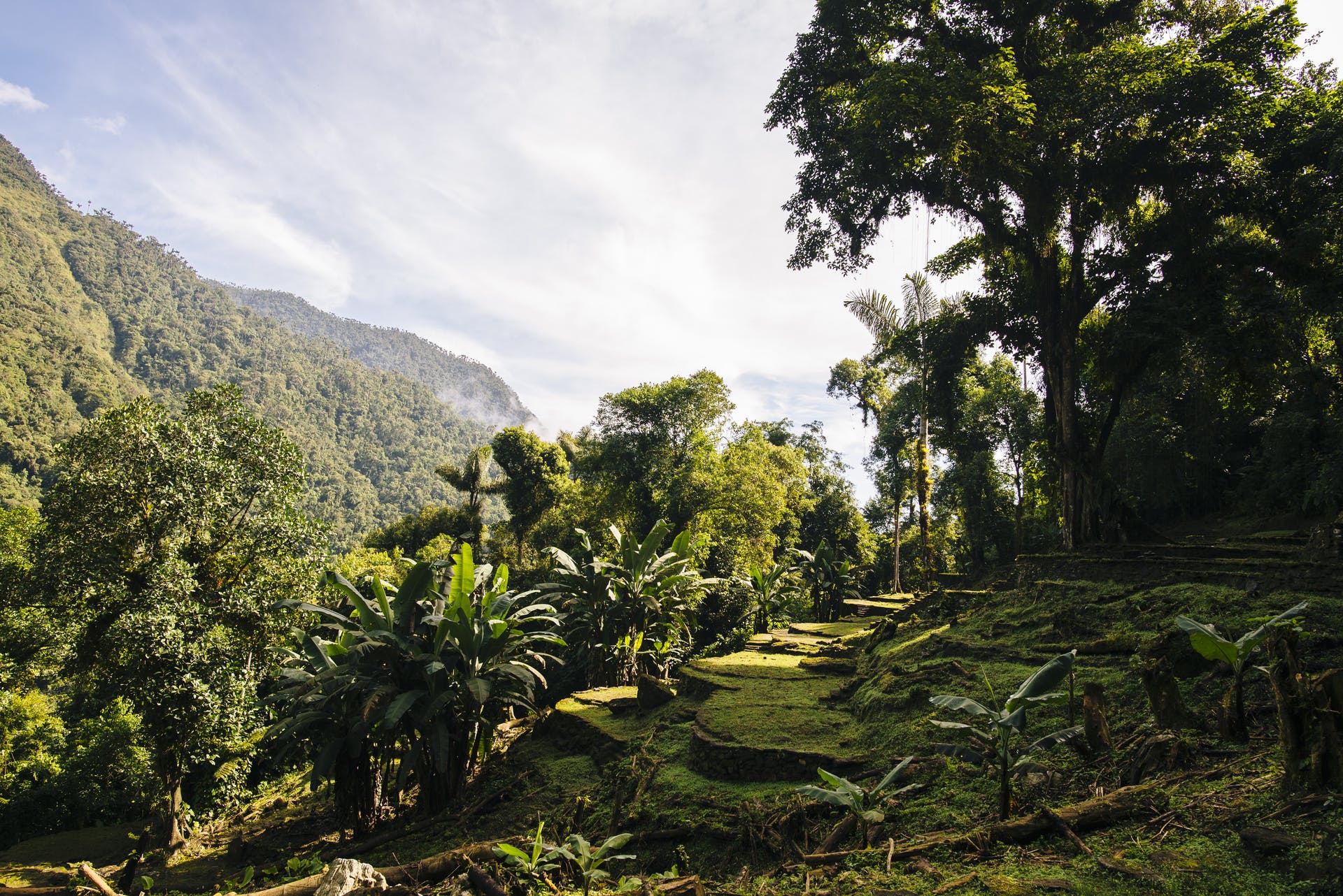Trek Colombia's Mountains and Lost City