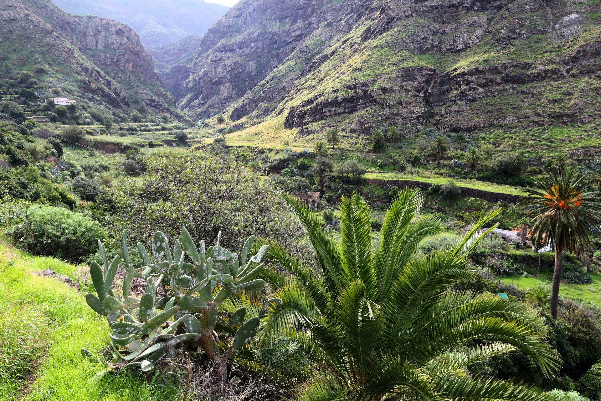 Coast to Coast Hike Through the Heart of Gran Canaria