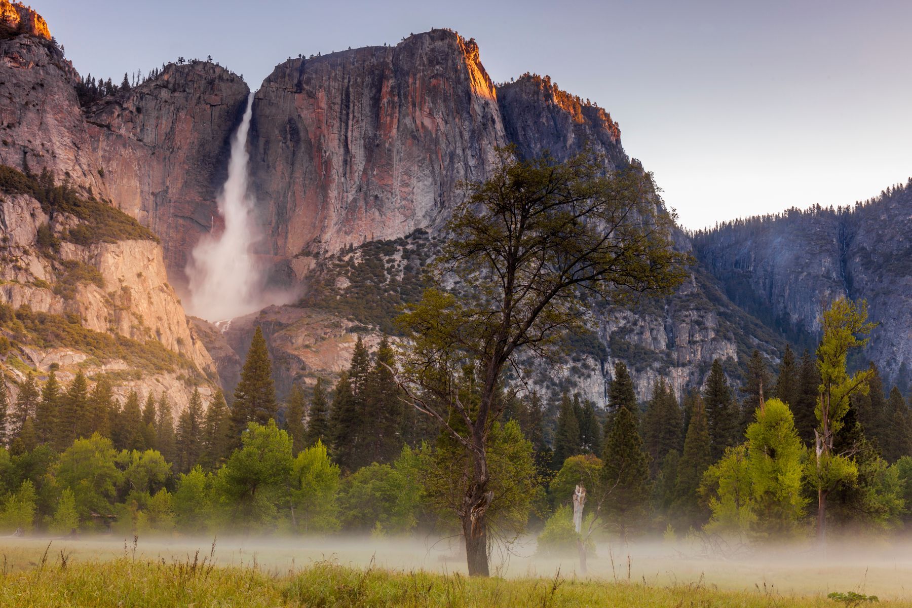 Yosemite Falls in the early morning mist.