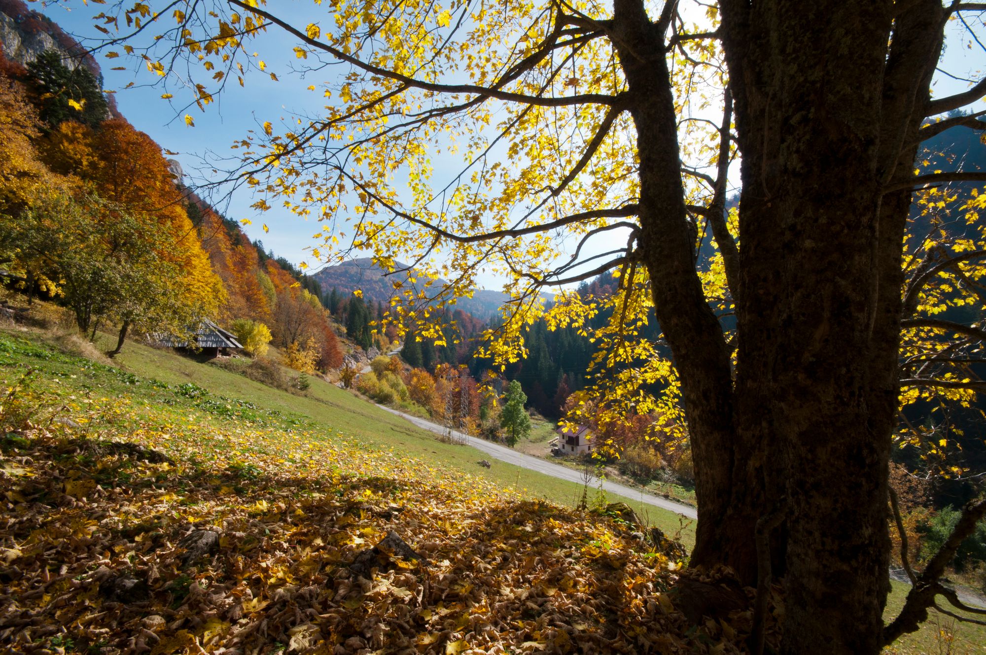 The roads of Bjelasica in Bosnia in Autumn.