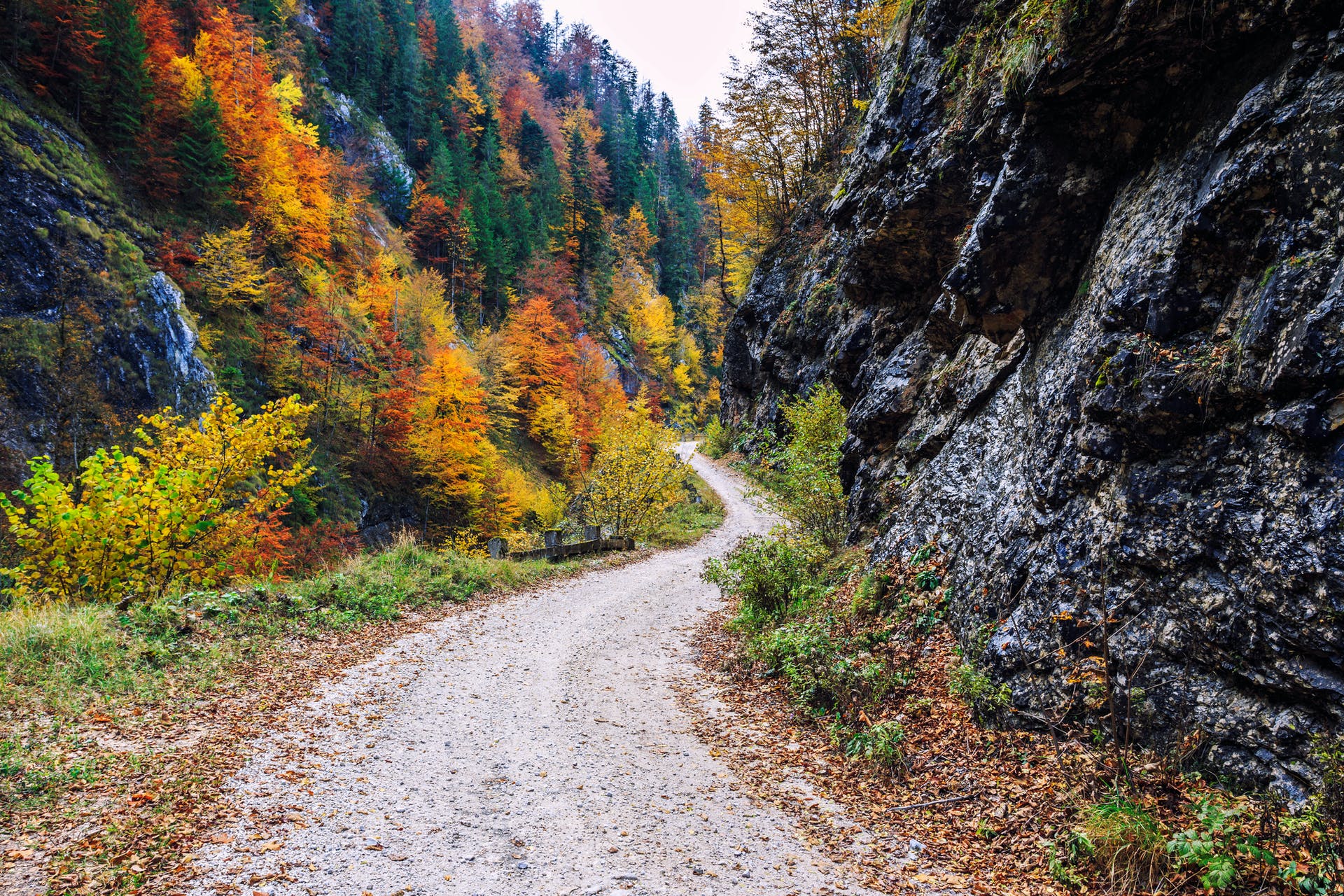 Carpathians, Romania