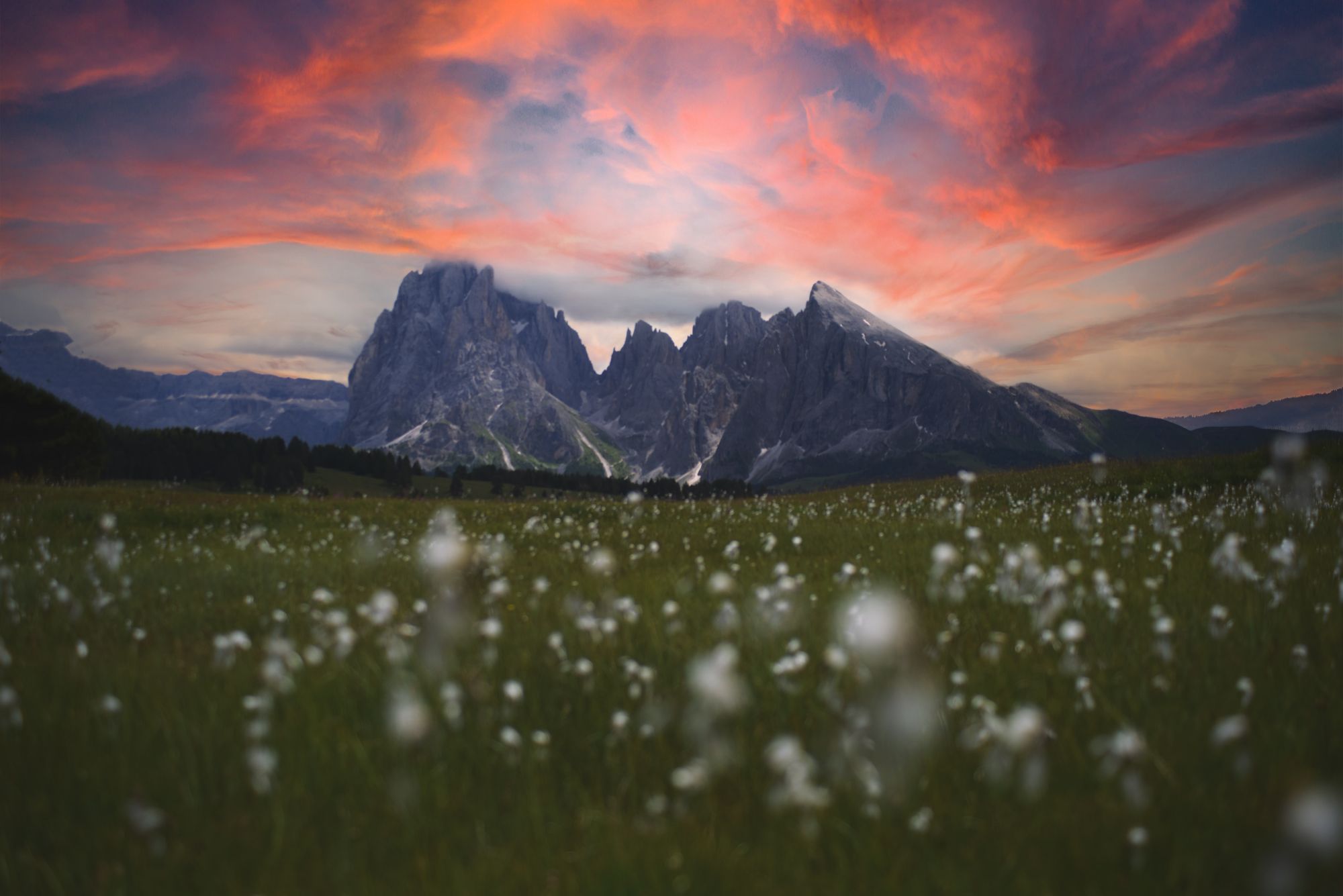 Alpes di Siusi in the Dolomites. 