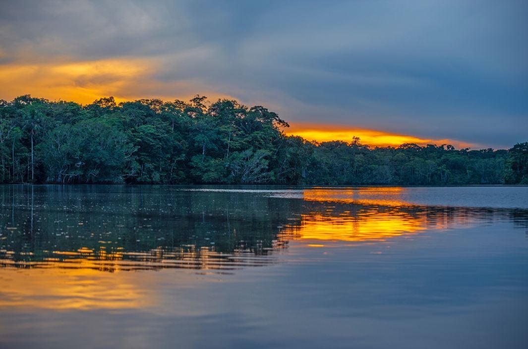 A river in Yasuni National Park, taken at sunset