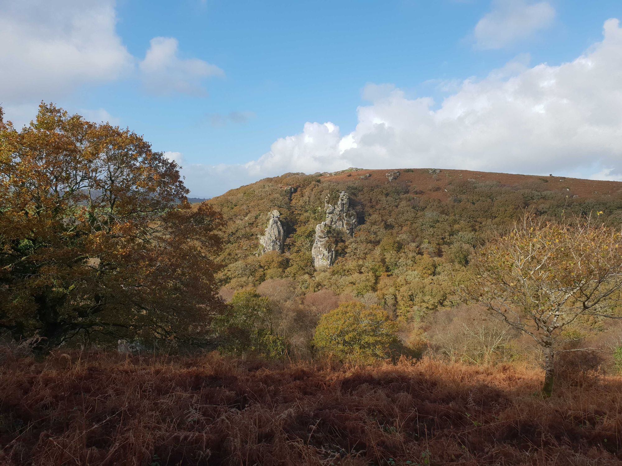 Dewerstone Rock from the opposite valley on the Dartmoor Way, one of the best hikes on Dartmoor