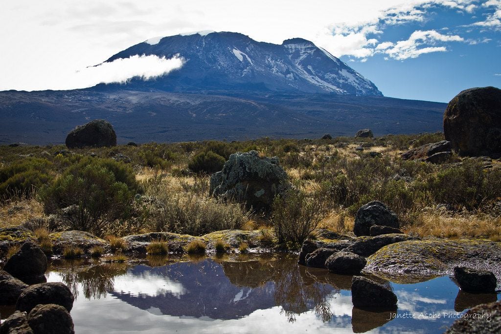 View of the Kilimanjaro summit on the Shira route.