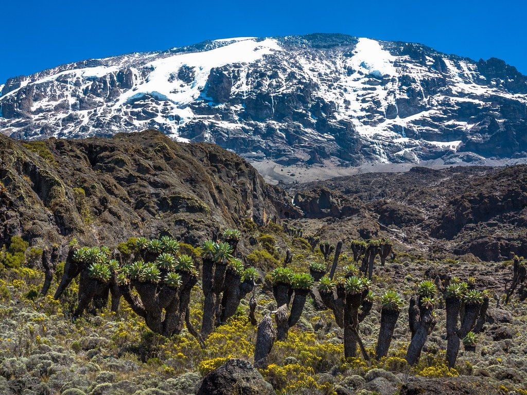 A view of Kilimanjaro on the Machame route