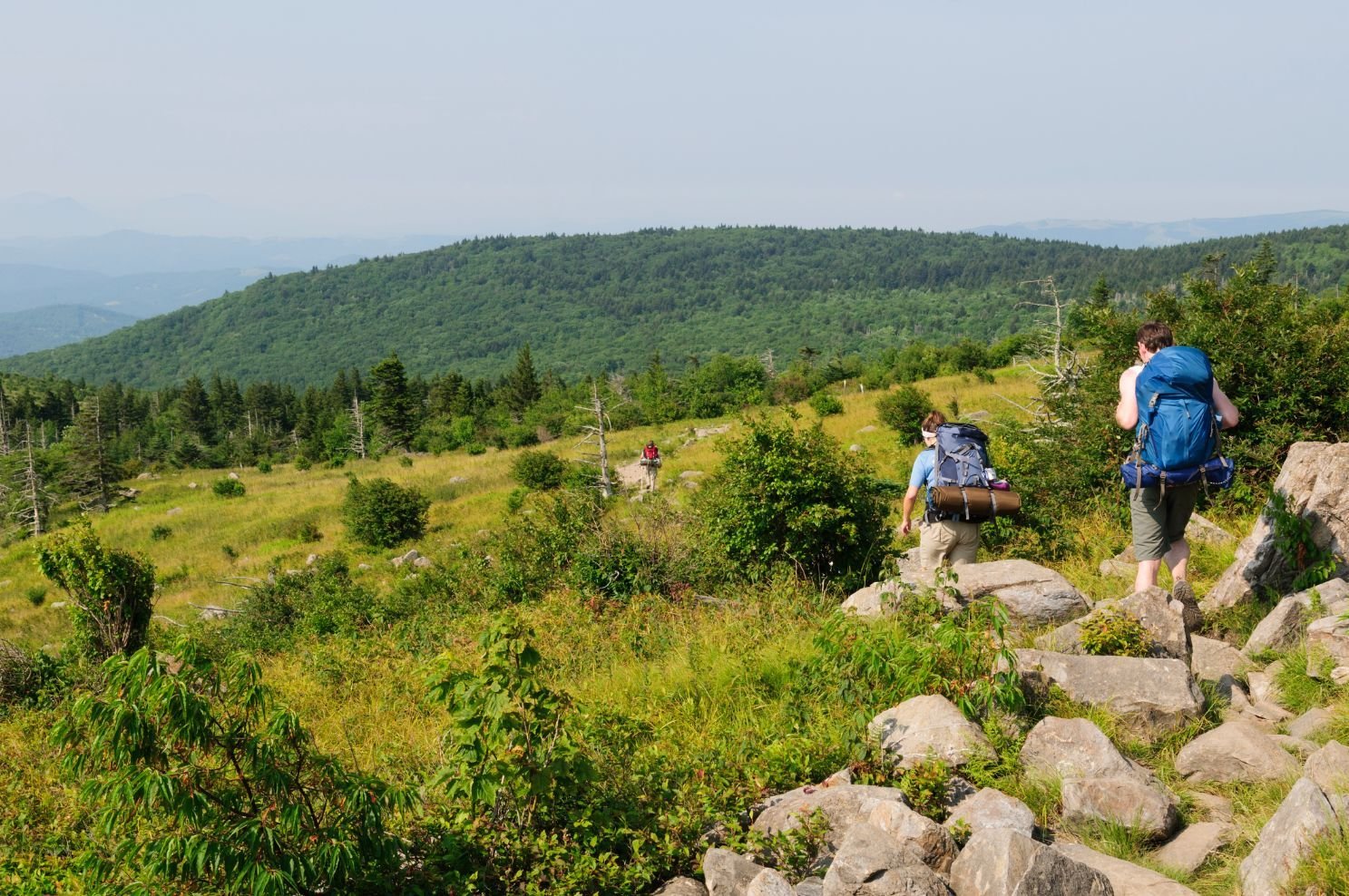 The views on the AT trail in Southwest Virginia. Much of the Appalachian Trail is dense forest. Photo: Getty