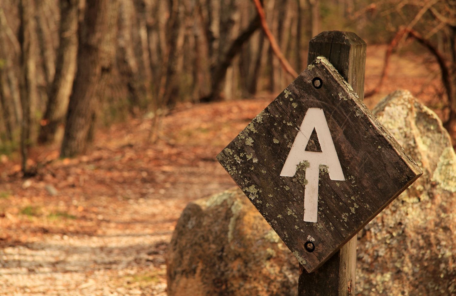 4x4 inch Round GREEN Appalachian Trail MAINE to GEORGIA Sticker hike hiking AT 