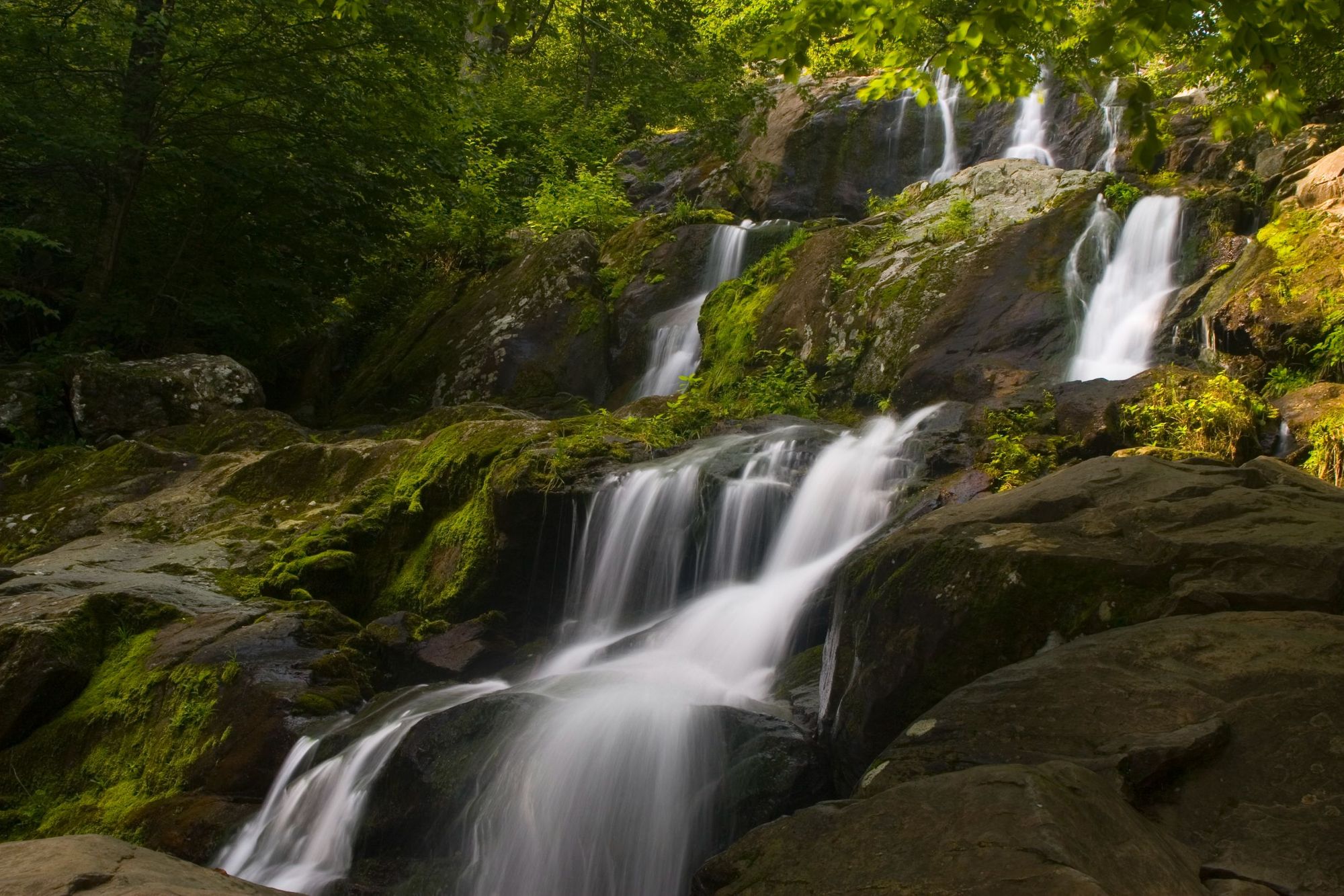 Dark hollow falls on Skyline drive, in Shenandoah National Park. Photo: Getty