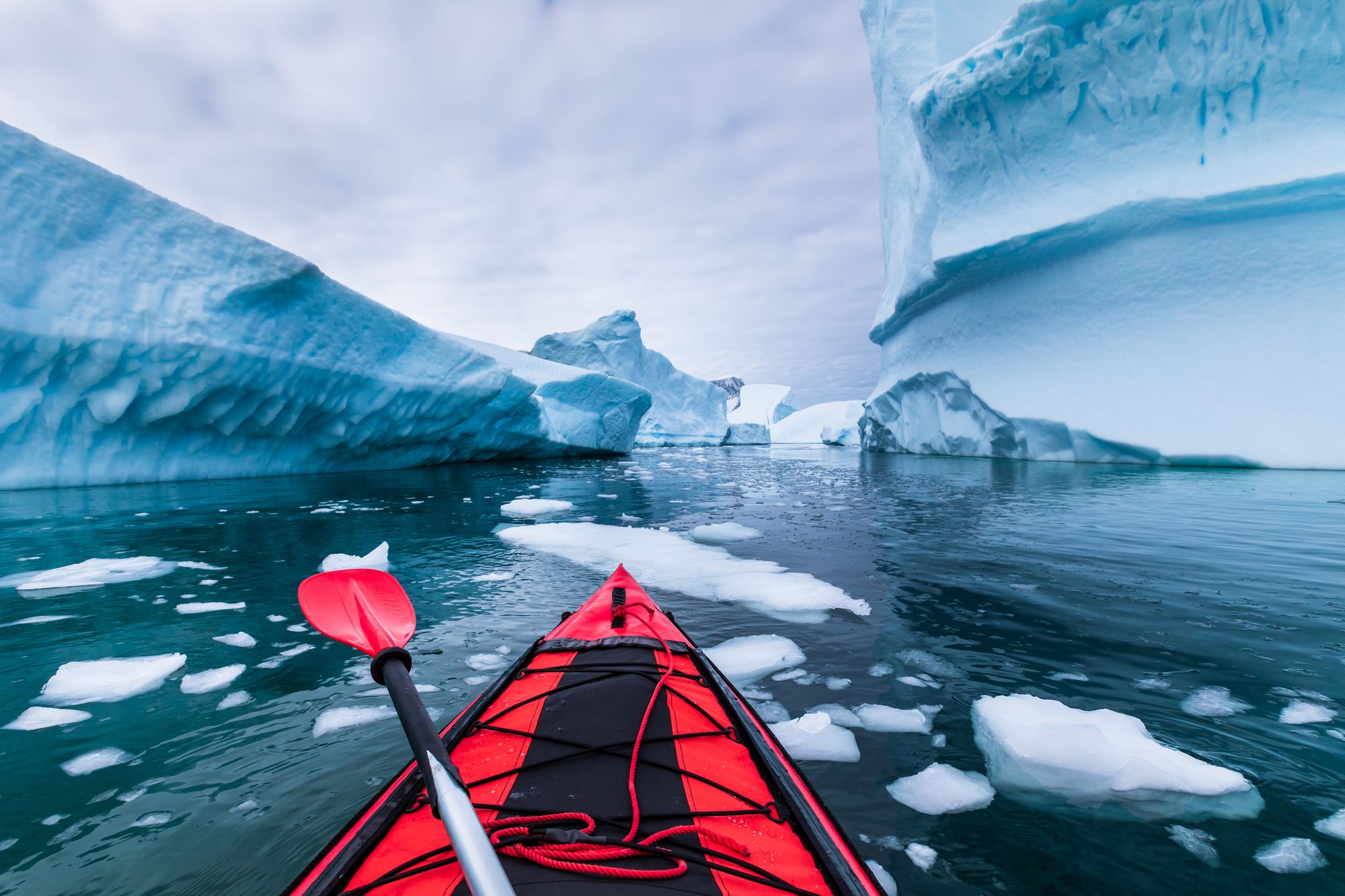 The front of a kayak gliding through icy Antarctic waters, with icebergs in the background.