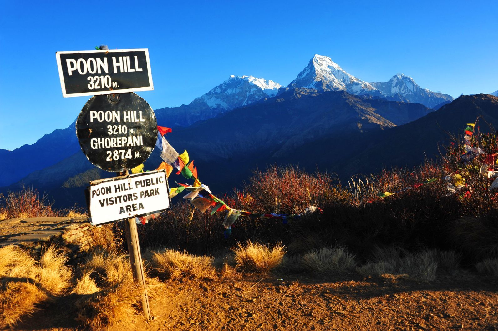 A beautiful view of the mesmeric Annapurna South from Poon Hill in morning, with the Poon Hill sign in the foreground.