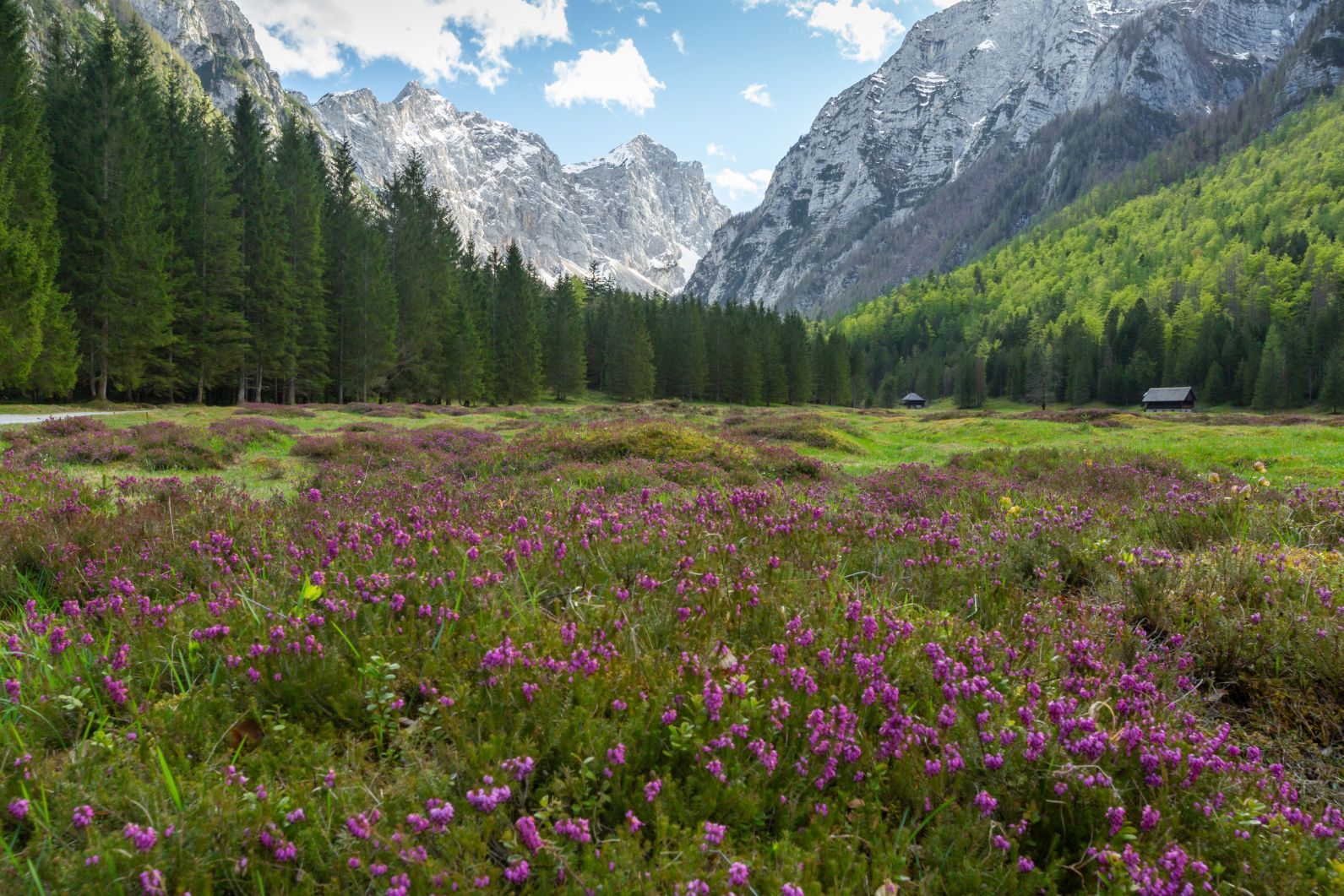 The stunning Krma Valley, from where one of the longest, but easiest, routes up to the Krederica Hut and Triglav starts